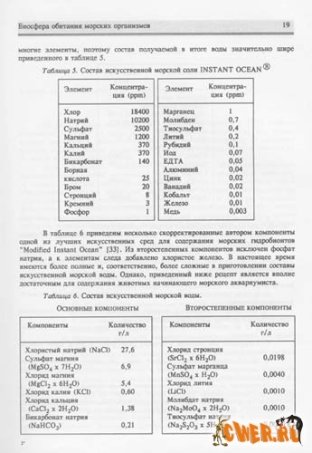 Морской аквариум дома