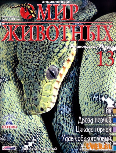 Энциклопедия