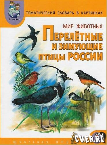 Перелетные и зимующие птицы