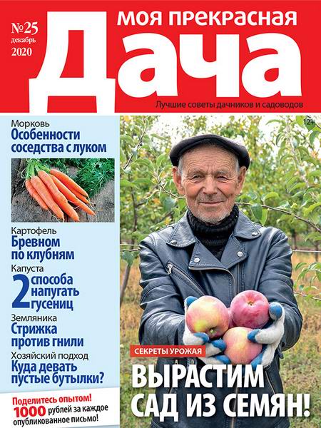 Моя прекрасная дача №25 декабрь 2020