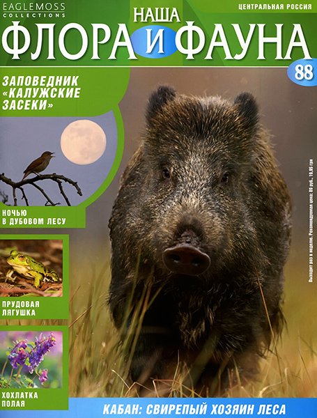 Наша флора и фауна №88 2014