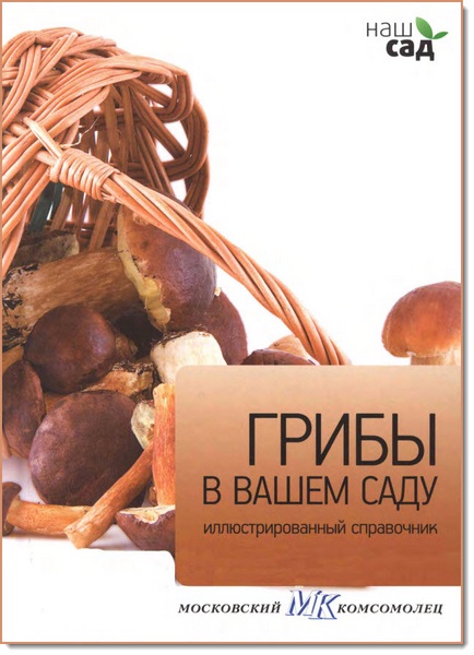 Наш сад. Грибы в вашем саду