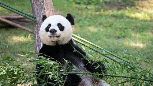 Computer Desktop Wallpap…Collection. www.cwer.ru