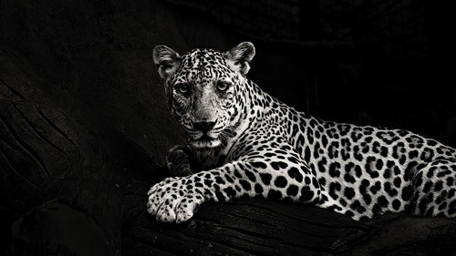 Computer Desktop Wallpapers Collection. www.cwer.ru