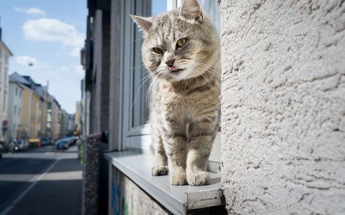 Computer Desktop Wallpapers Collection. www.cwer.ru