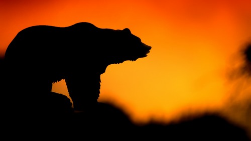 Computer Desktop Wallpapers Collection. www.cwer.ru