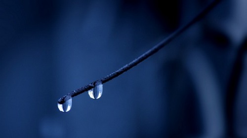 Computer Desktop Wallpapers Collection. www.cwer.ru