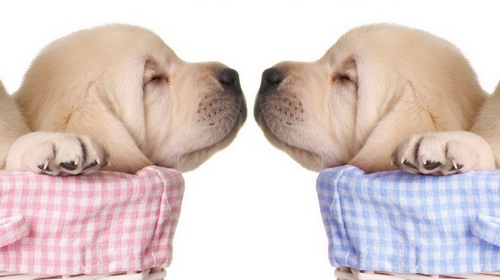 Computer Desktop Wallpapers Collection. www.cwer.ws