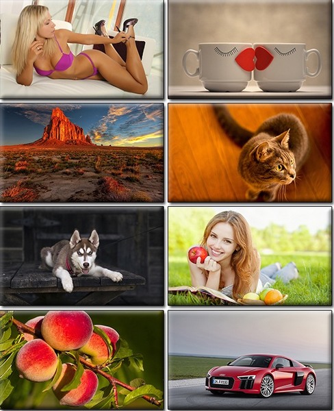 Computer Desktop Wallpapers Collection. www.cwer.ru