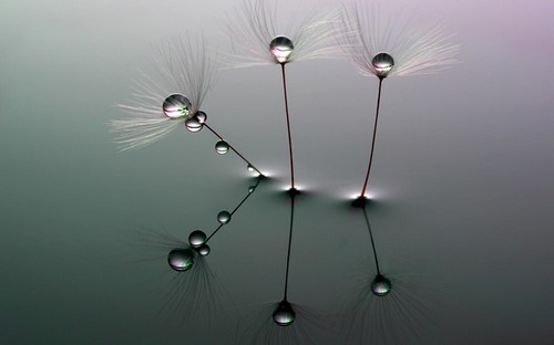 Computer Desktop Wallpapers Collection. www.cwer.ru