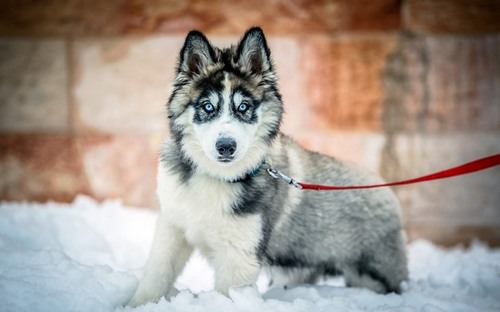 Computer Desktop Wallpapers Collection. www.cwer.ru