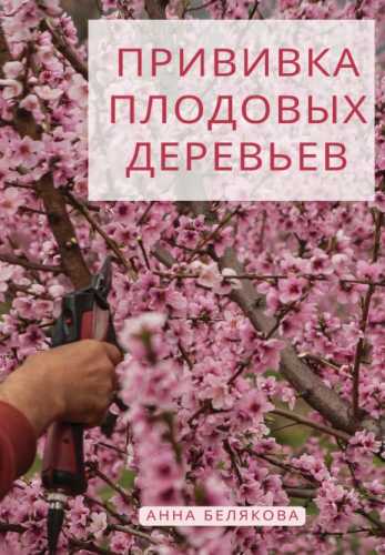 Прививка плодовых деревьев