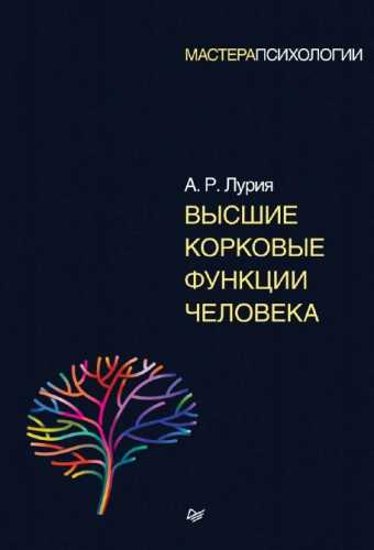 Высшие корковые функции человека