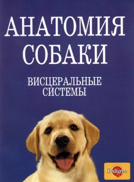 Н.А.Слесаренко. Анатомия собаки. Висцеральные системы