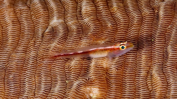 New Mixed HD Wallpapers Pack 306