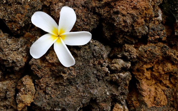 New Mixed HD Wallpapers Pack 306