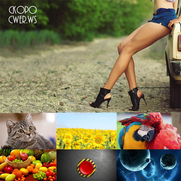 New Mixed HD Wallpapers Pack 250