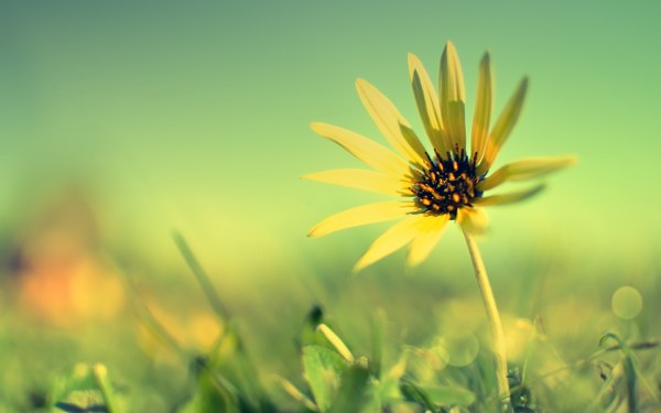 New Mixed HD Wallpapers Pack 146