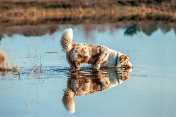 New Mixed HD Wallpapers Pack 266