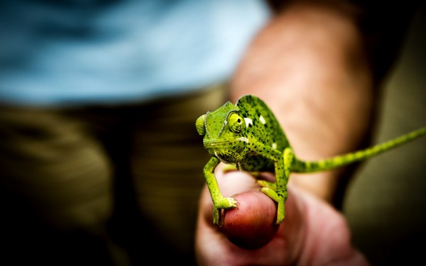 Best Mixed Wallpapers Pack #363-364