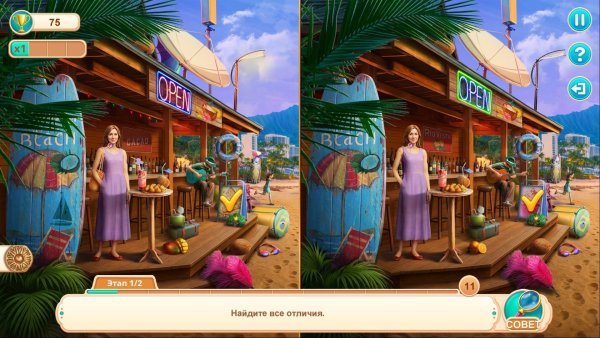 Festival Journey 2: Secrets of Rio Collector's Edition